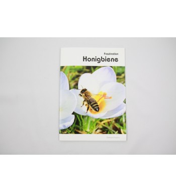 Broschüre Faszination Bienen - Fasolin